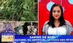 [Info Soirée] : « Ziska 19 mil rupi pu enn sapin artifisyel » 