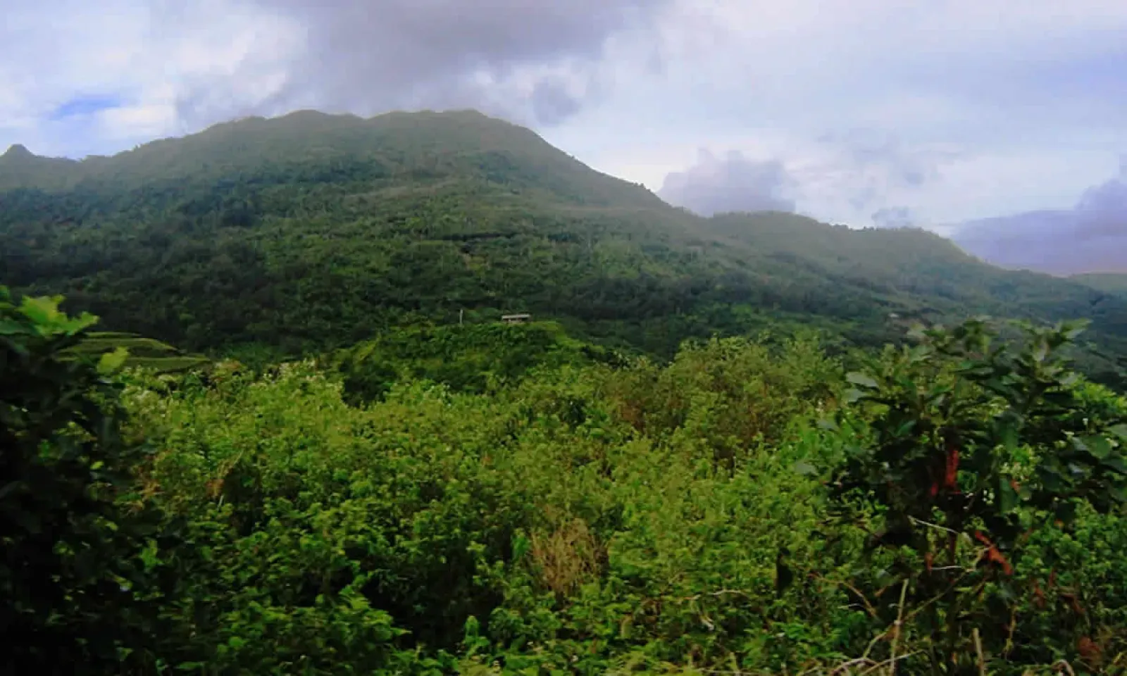 Photo d"illustration