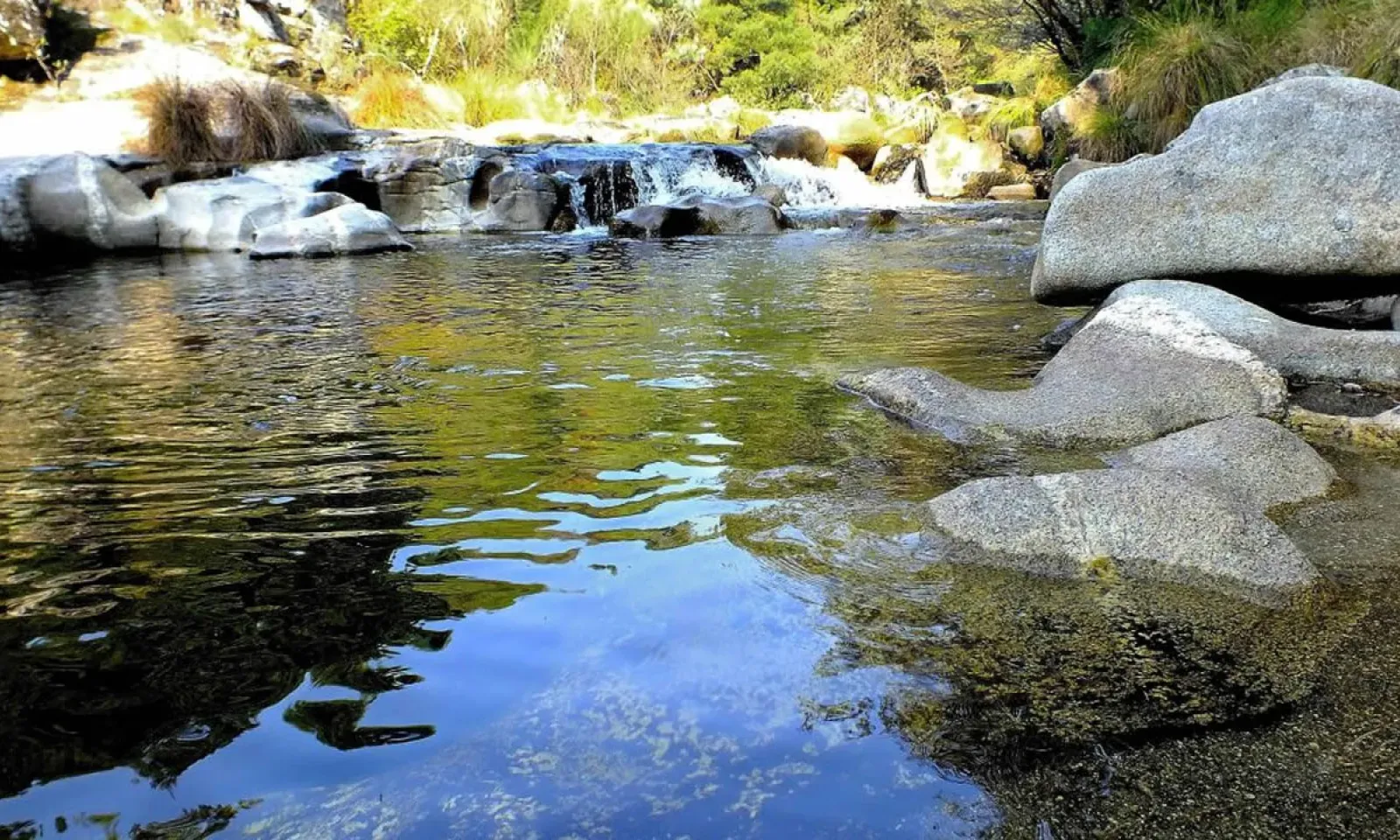 Nitrates dans l’eau à Port-Louis