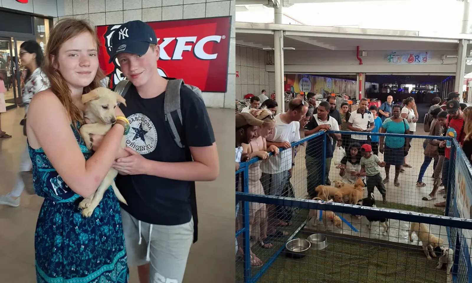 Journée mondiale des animaux