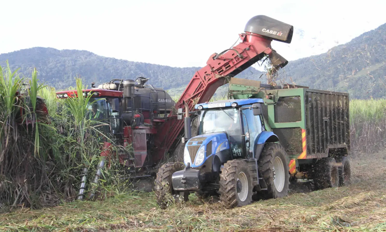 Production sucrière