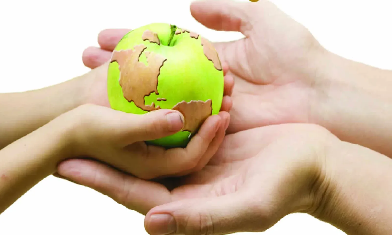 World Health Day 2018