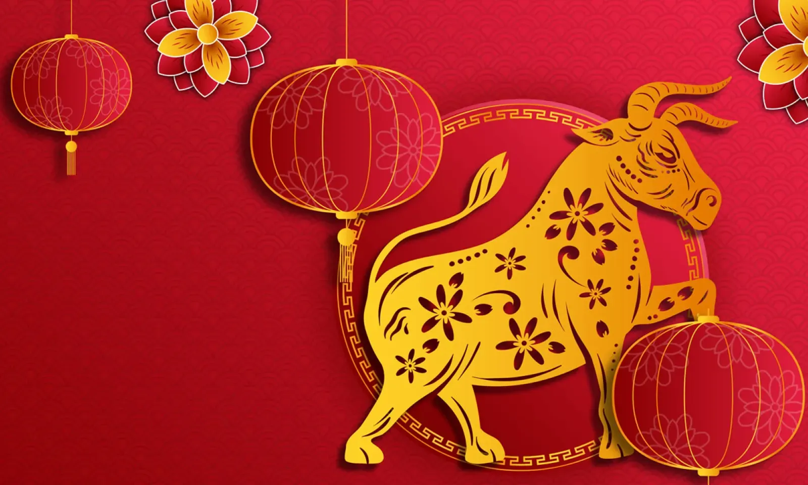 L’année du buffle/bœuf 