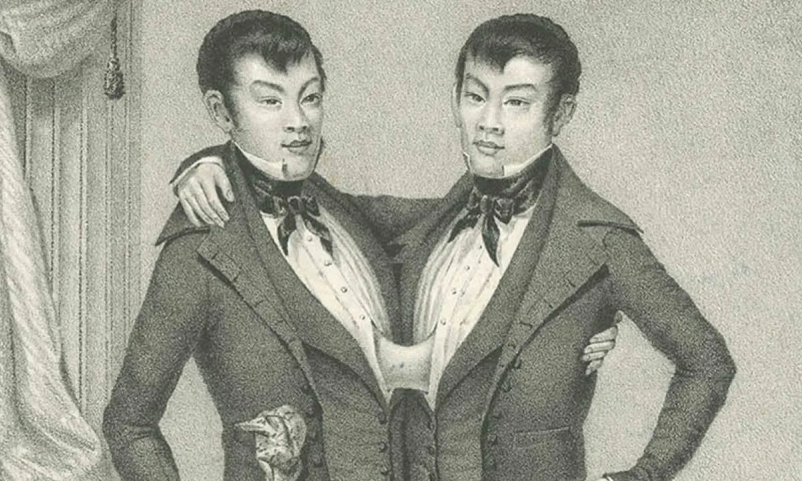 Siamois - Un Brin d’histoire - Eng et Chang : les premiers siamois répertoriés en 1811
