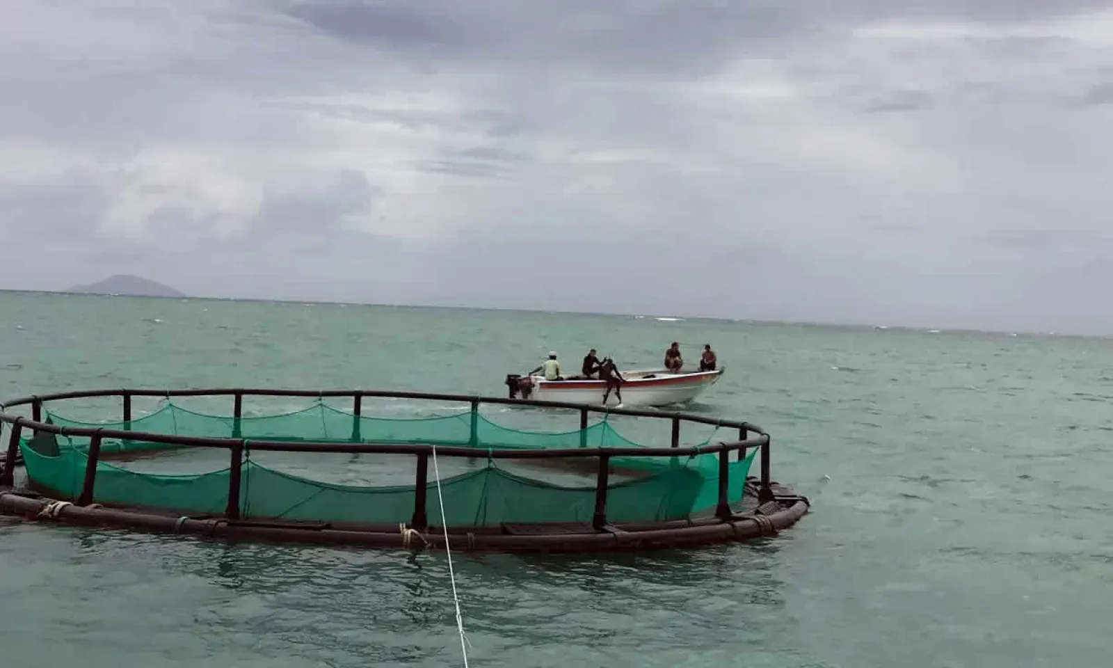 ferme aquacole de Grand-Gaube