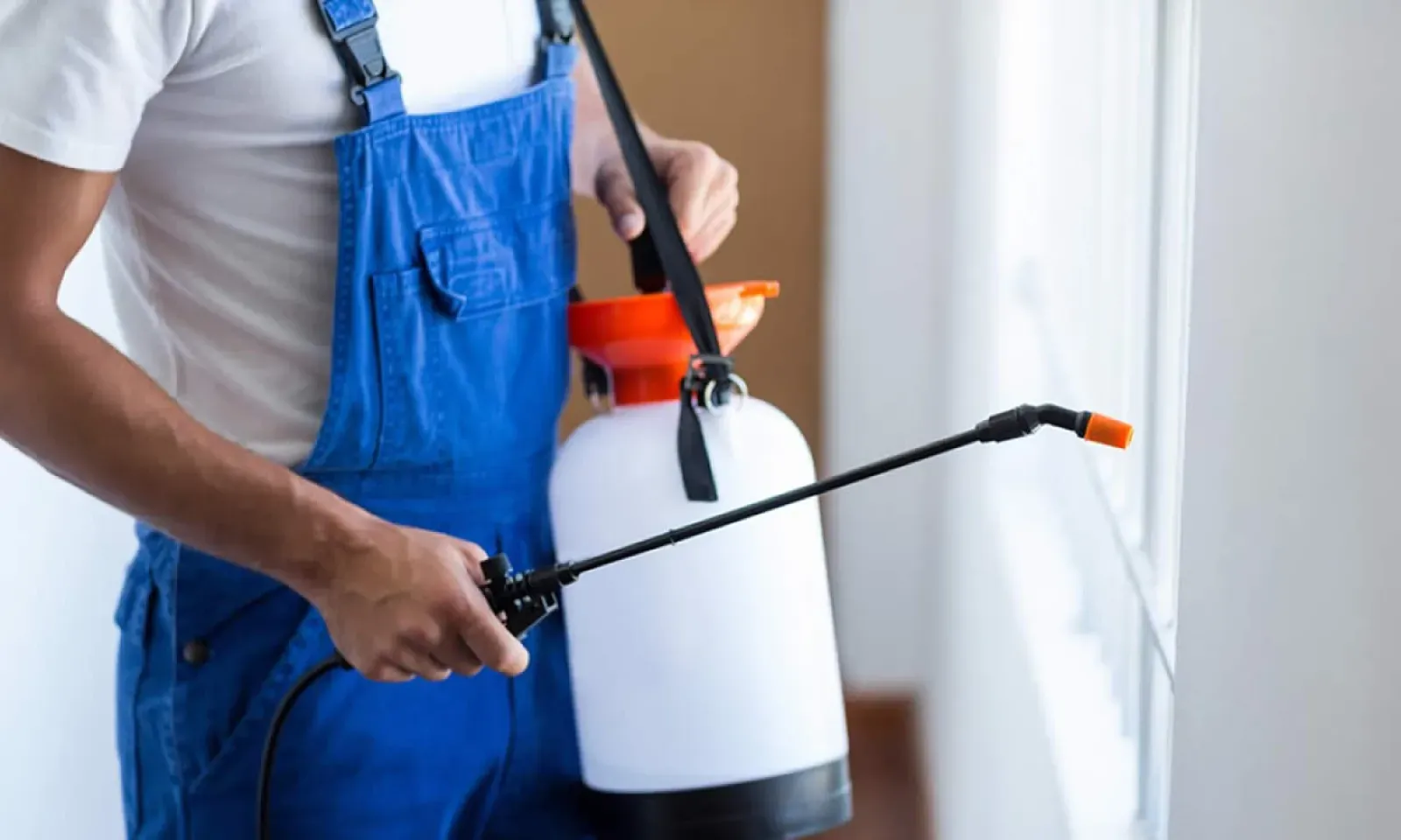 Période de fortes chaleurs : quel coût prévoir pour les services de contrôle et l’éradication des nuisibles ?