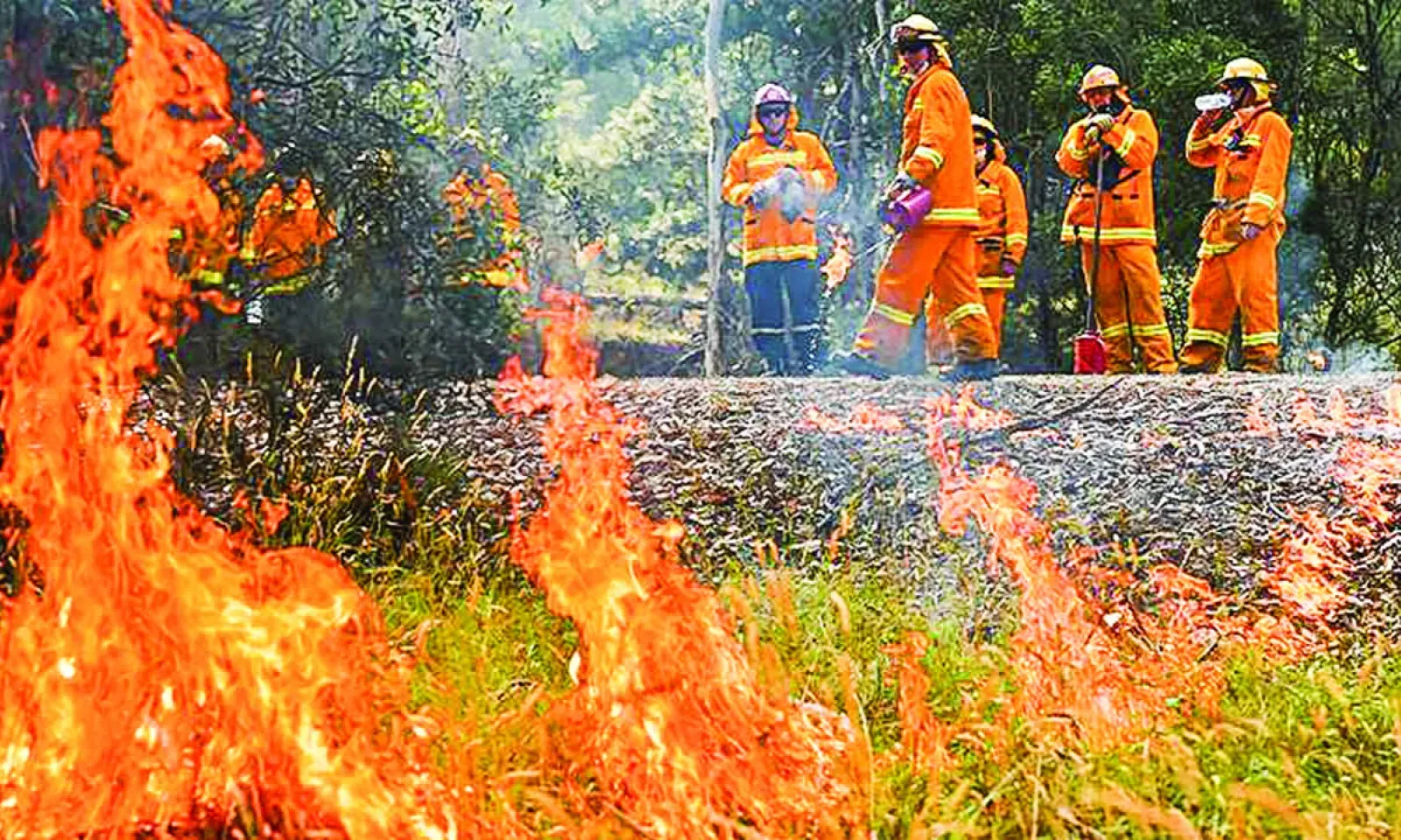 Australians are being urged to evacuate as giant fires threaten to regenerate with high winds  and hot temperatures.