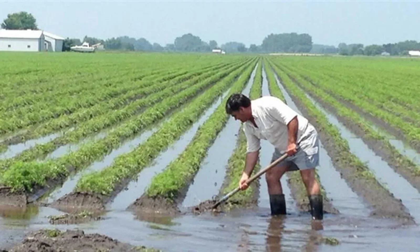 innondation agriculture