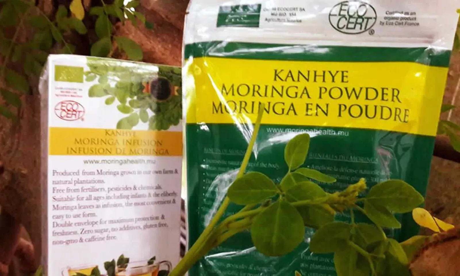 Moringa