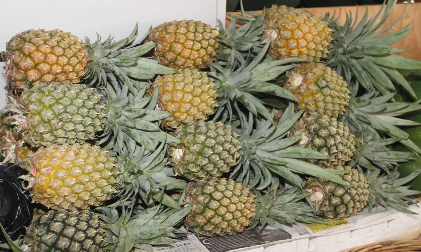 ananas