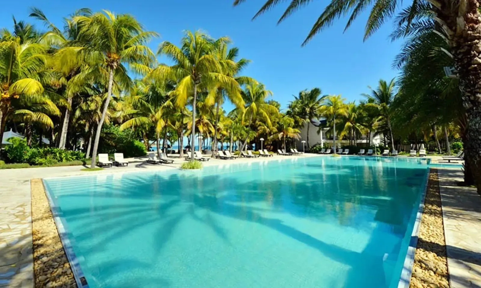 The Ravenala Attitude