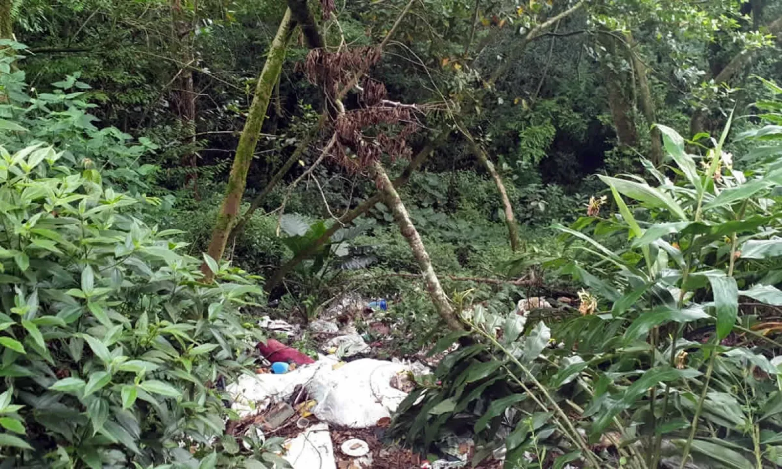 Meurtre à Ville-Bague