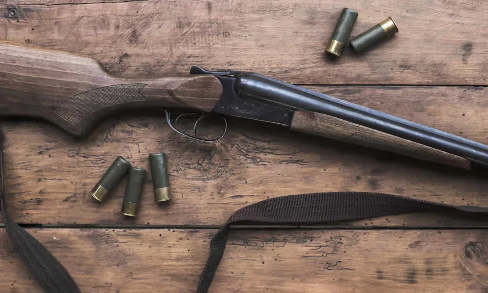 fusil de chasse et de munitions