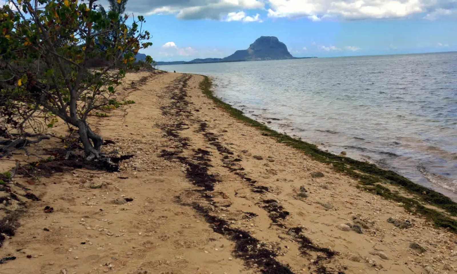 Petite-Rivière-Noire