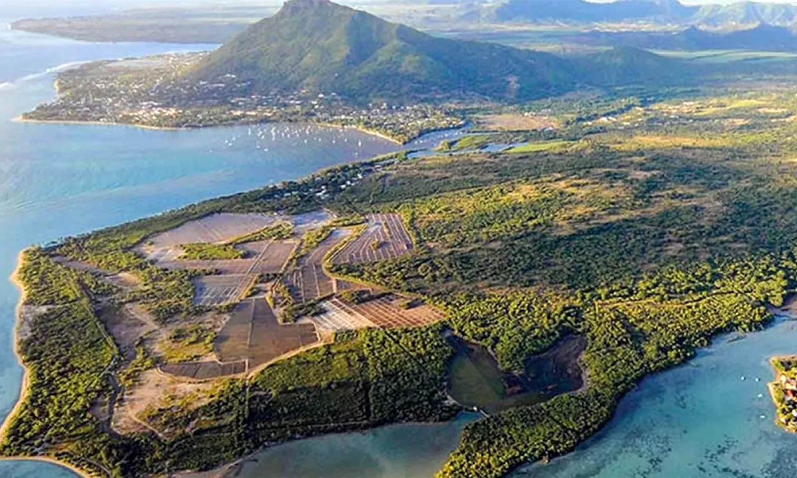 Salines Koenig de NMH