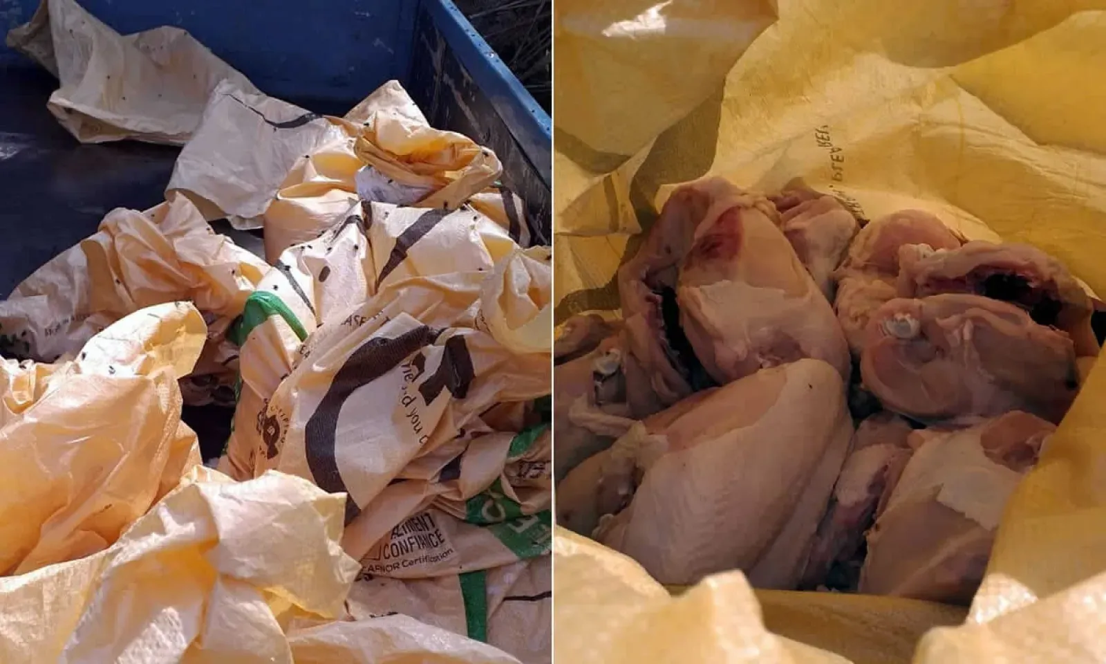 Le poulet était dans des sacs en raphia