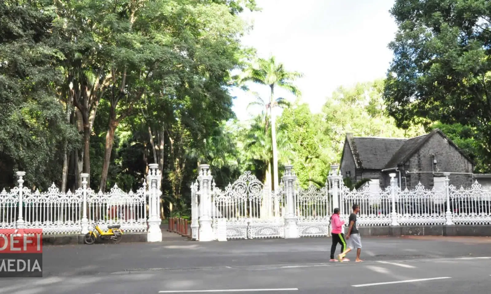 Le jardin botanique de Pamplemousses