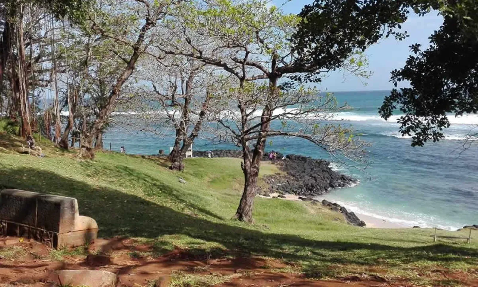 Le jardin Tefair, à Souillac.