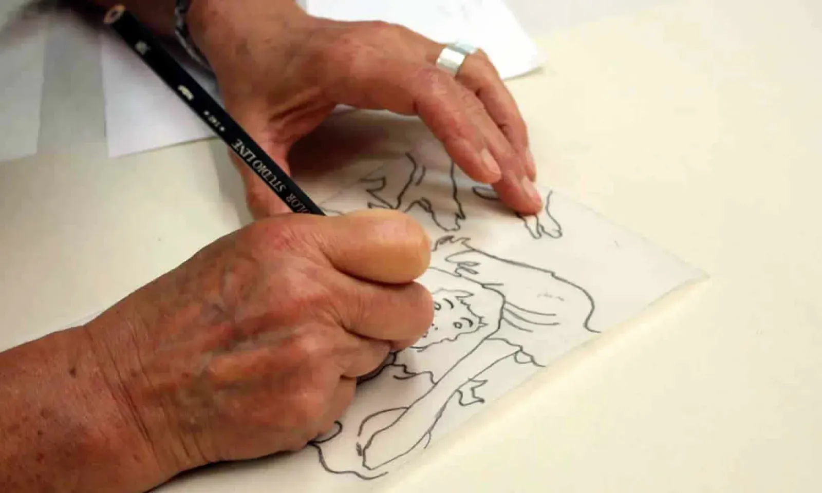 Métier d’illustrateur de livres