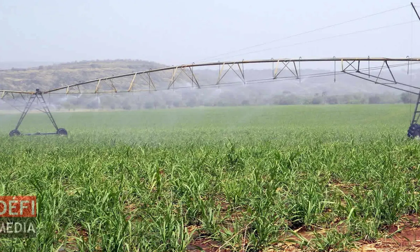 Irrigation Authority