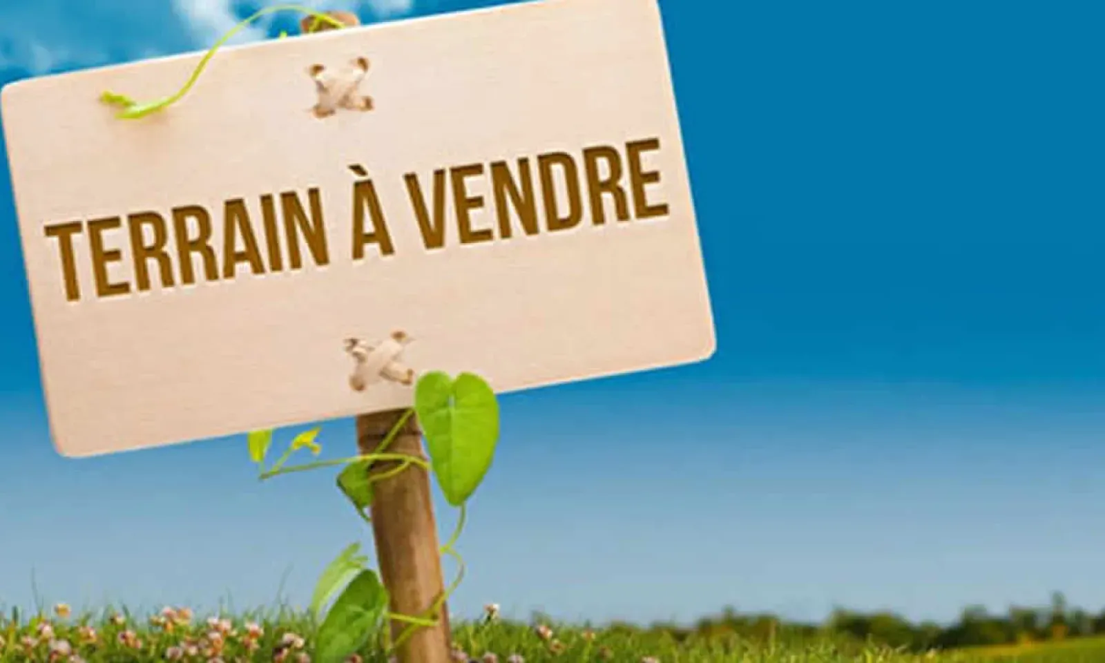 Terrain résidentiel