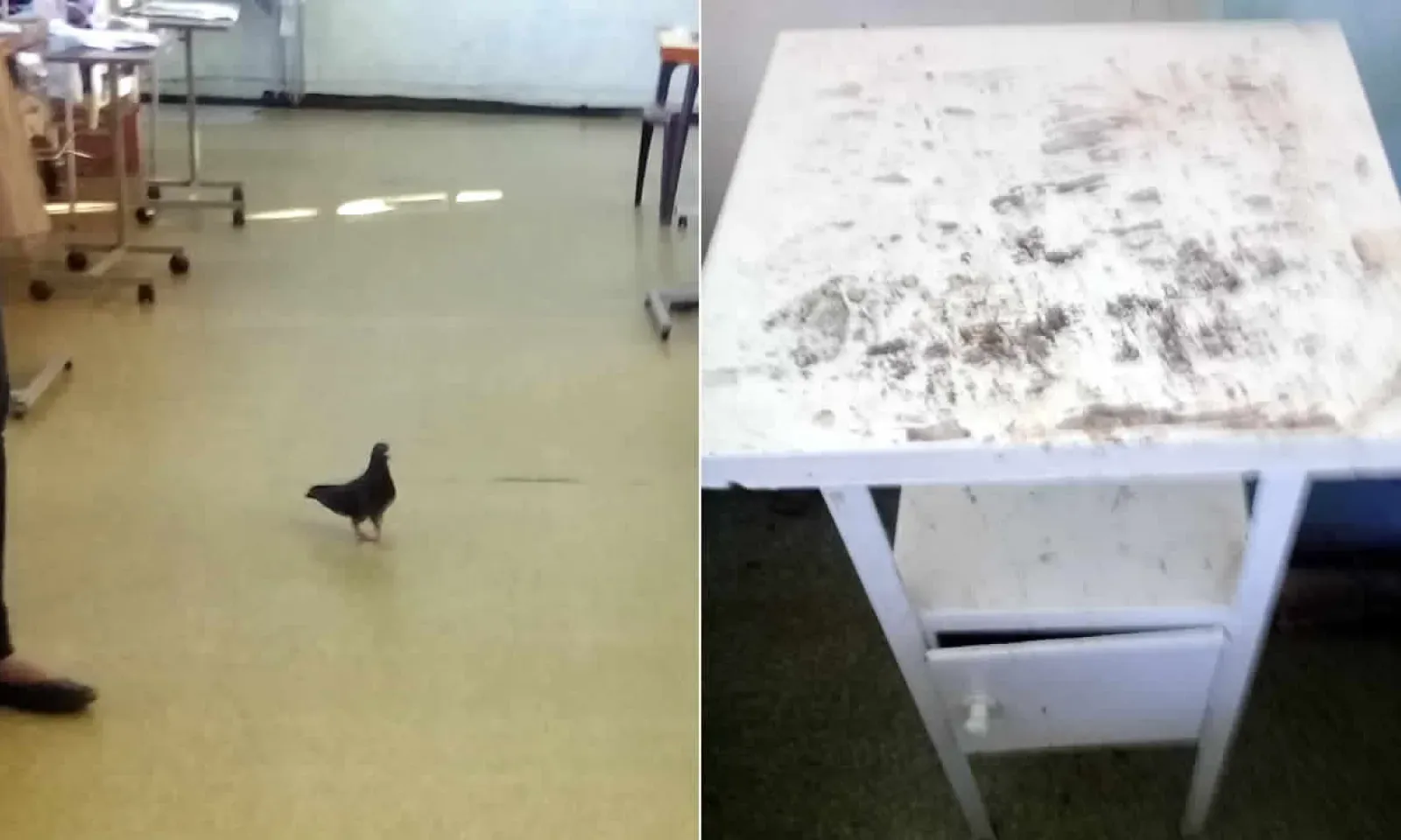 À l’hôpital Victoria, Candos