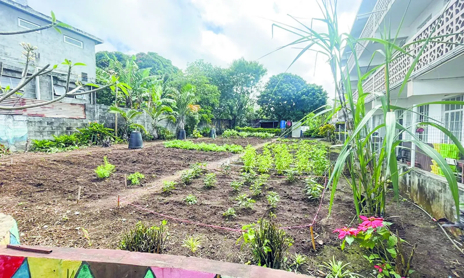 L’institution s’engage dans des causes environnementales.