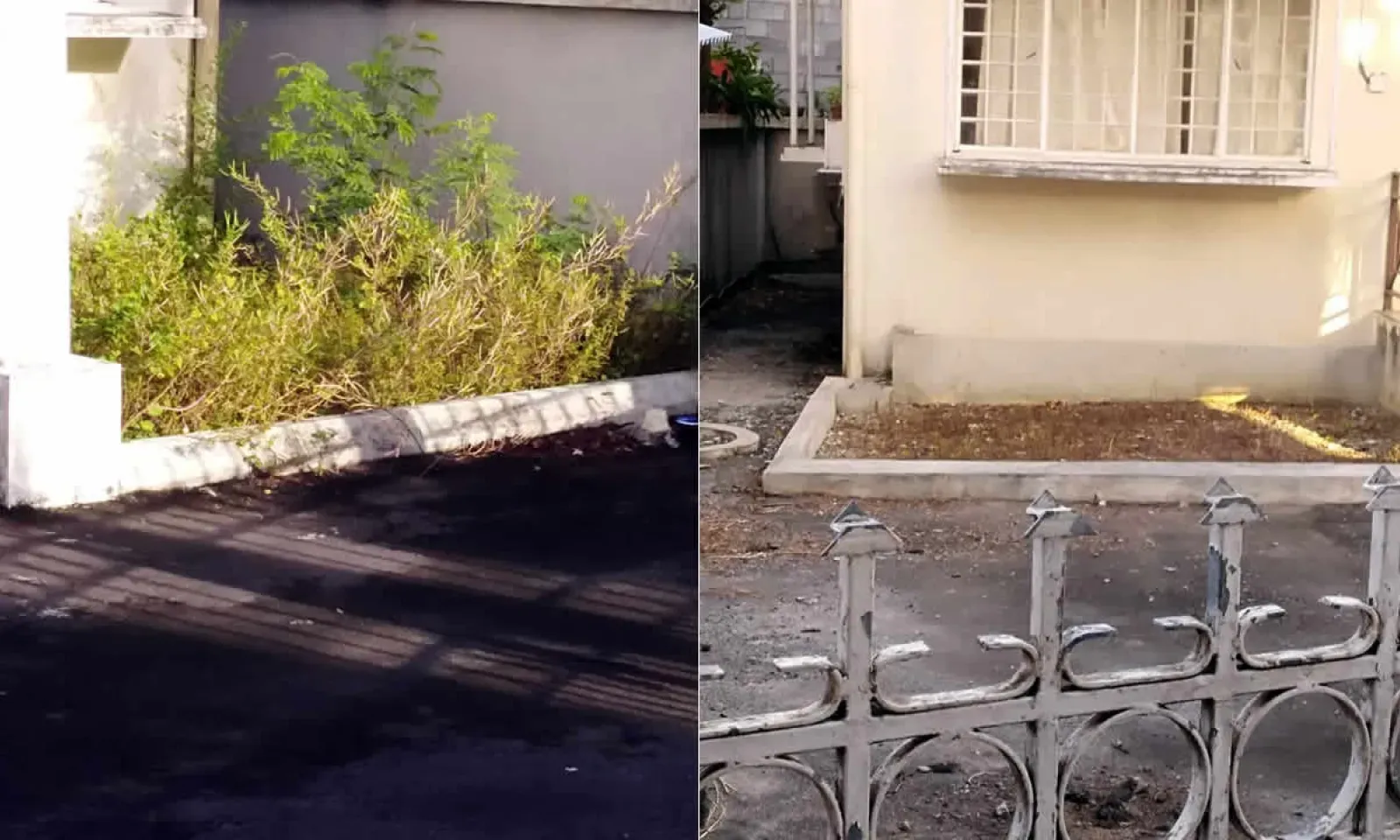 cour du bureau du Travail 