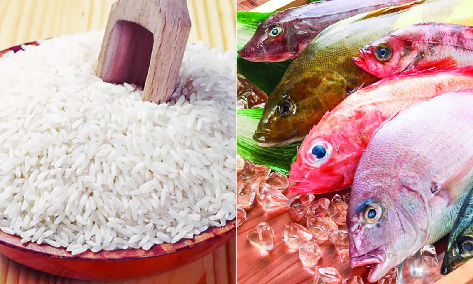 250518_rice_fish.jpg