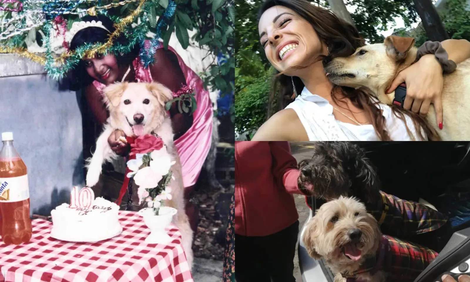 Pour l’amour du toutou