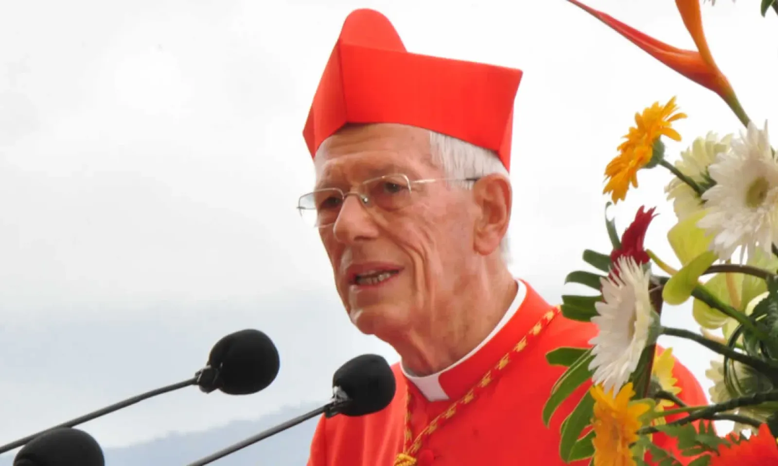 Le cardinal Piat