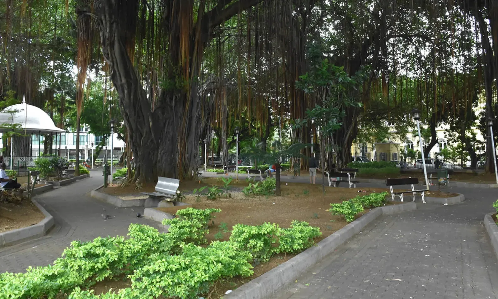 Jardin de la Compagnie à Port-Louis