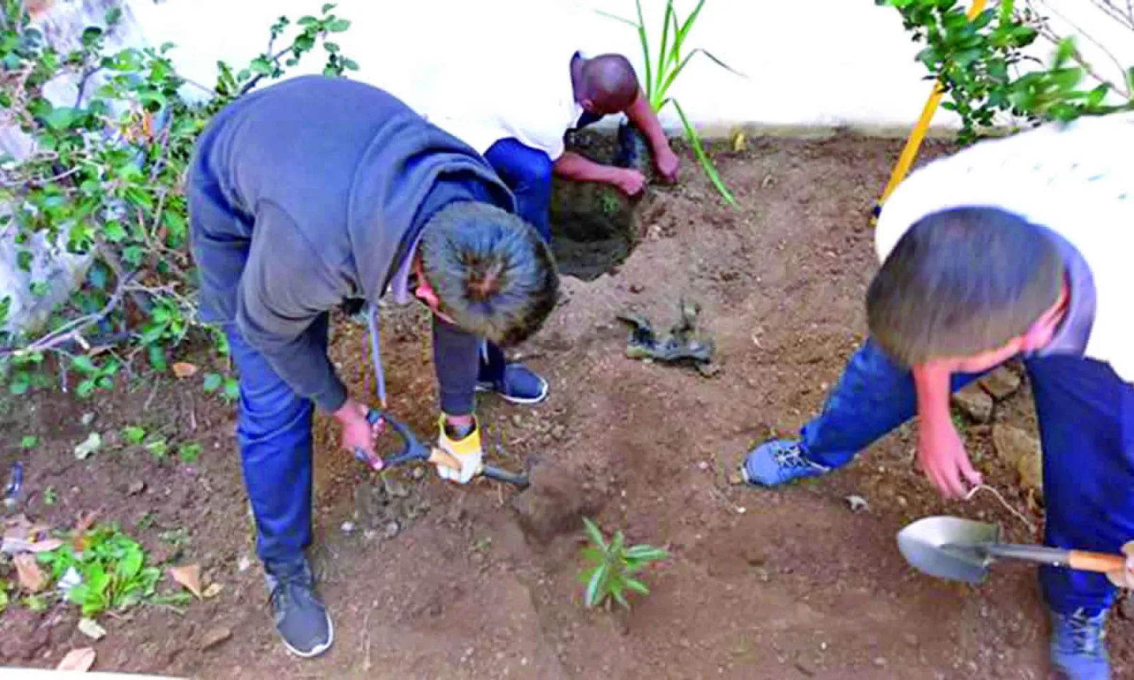 Dr James Burty David SSS