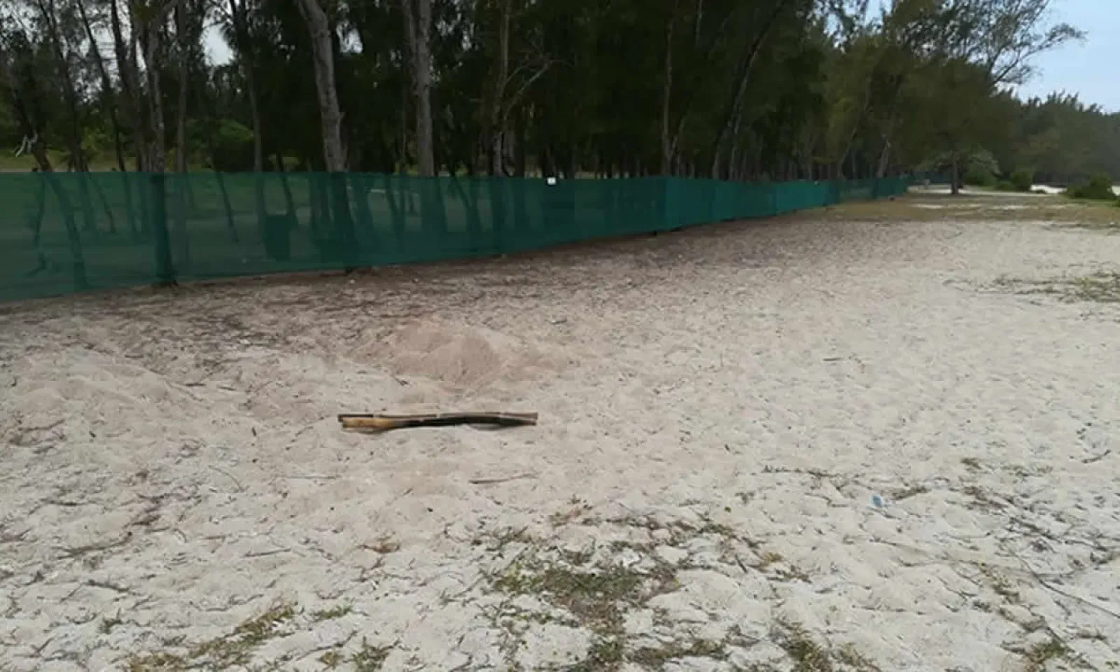 Projet hôtelier à Pomponette