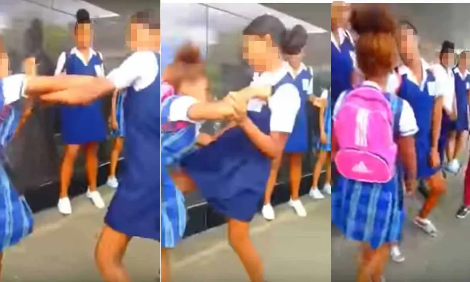 Des étudiantes en viennent aux mains