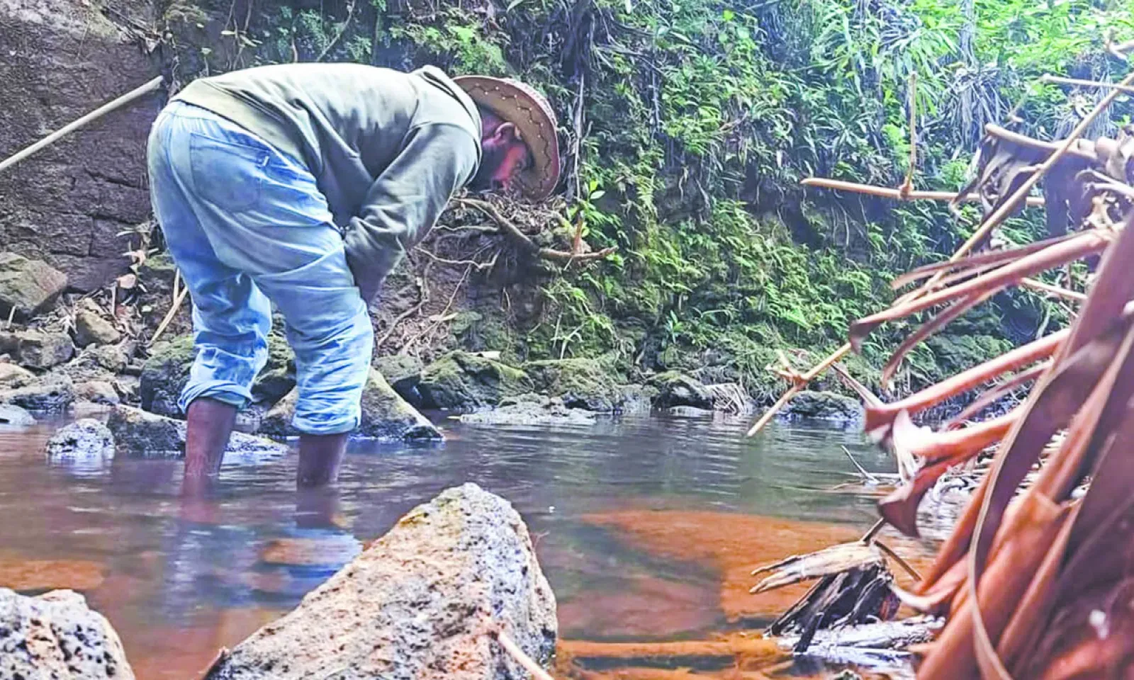 Raja Vencatasawmy est aquascaper.