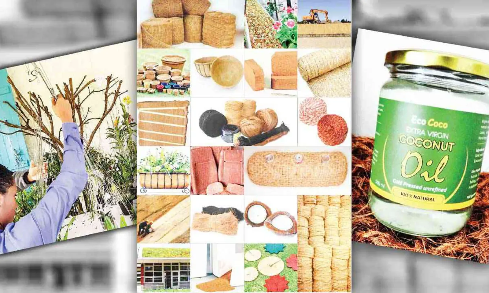 Ruvinya Ltd: Offering an eco-friendly alternative to plant growing