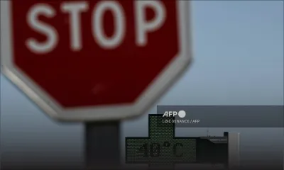 Canicule : de nombreux records absolus de température battus confirme Météo-France