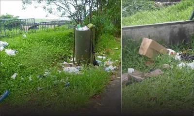 Environnement - La Nicolière: les pollueurs s’en donnent à cœur joie