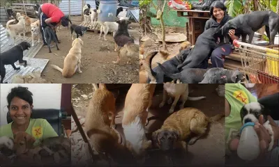 Vanisha Mohur : au chevet de ses 170 chiens