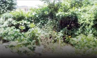 Depuis une dizaine d’années : elle vit à côté d’un terrain insalubre