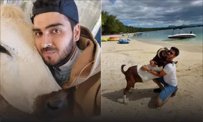 Des finances à l’élevage : Muntasir Joyub murmure à l’oreille des animaux