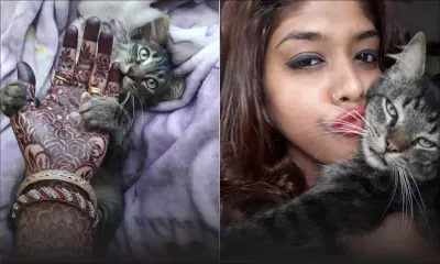 Pooja Bhurtun, artiste de henné : elle puise son inspiration de ses chats