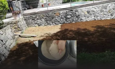 Sharmin Haulkory : un business pieds sur terre 