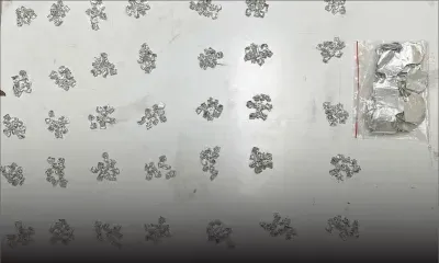 Roche-Bois : saisie de méthamphétamine évaluée à Rs 210 000