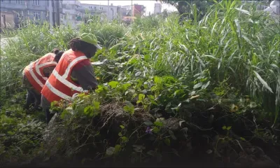 À Curepipe : la mairie sur les traces des propriétaires de terrains en friche