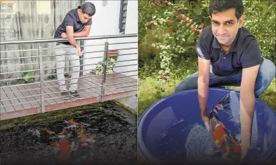 Nasif Jeetoo : dans les eaux vives de la passion