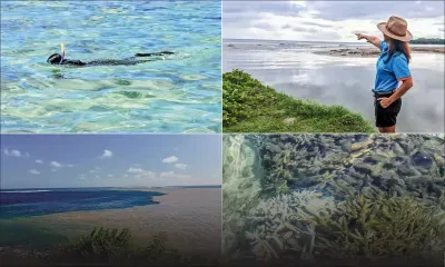 L’Océan Indien se bat pour son avenir