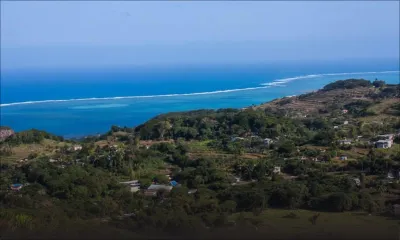 Rodrigues : une dizaine de chiens empoisonnés en quelques jours