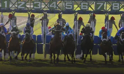 Hippisme: le programme de la 26e journée et les cotes